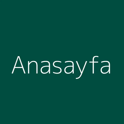 Anasayfa